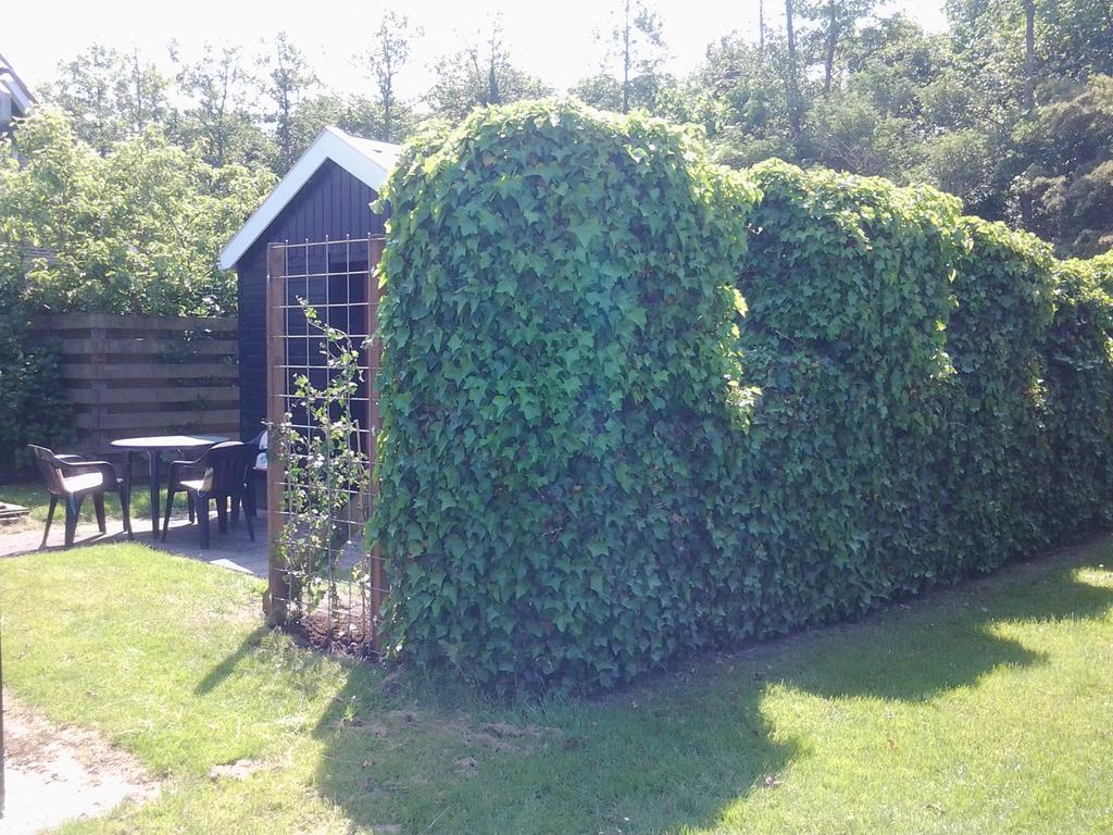 Bed & Breakfast Meinsma Moddergat Eksteriør bilde